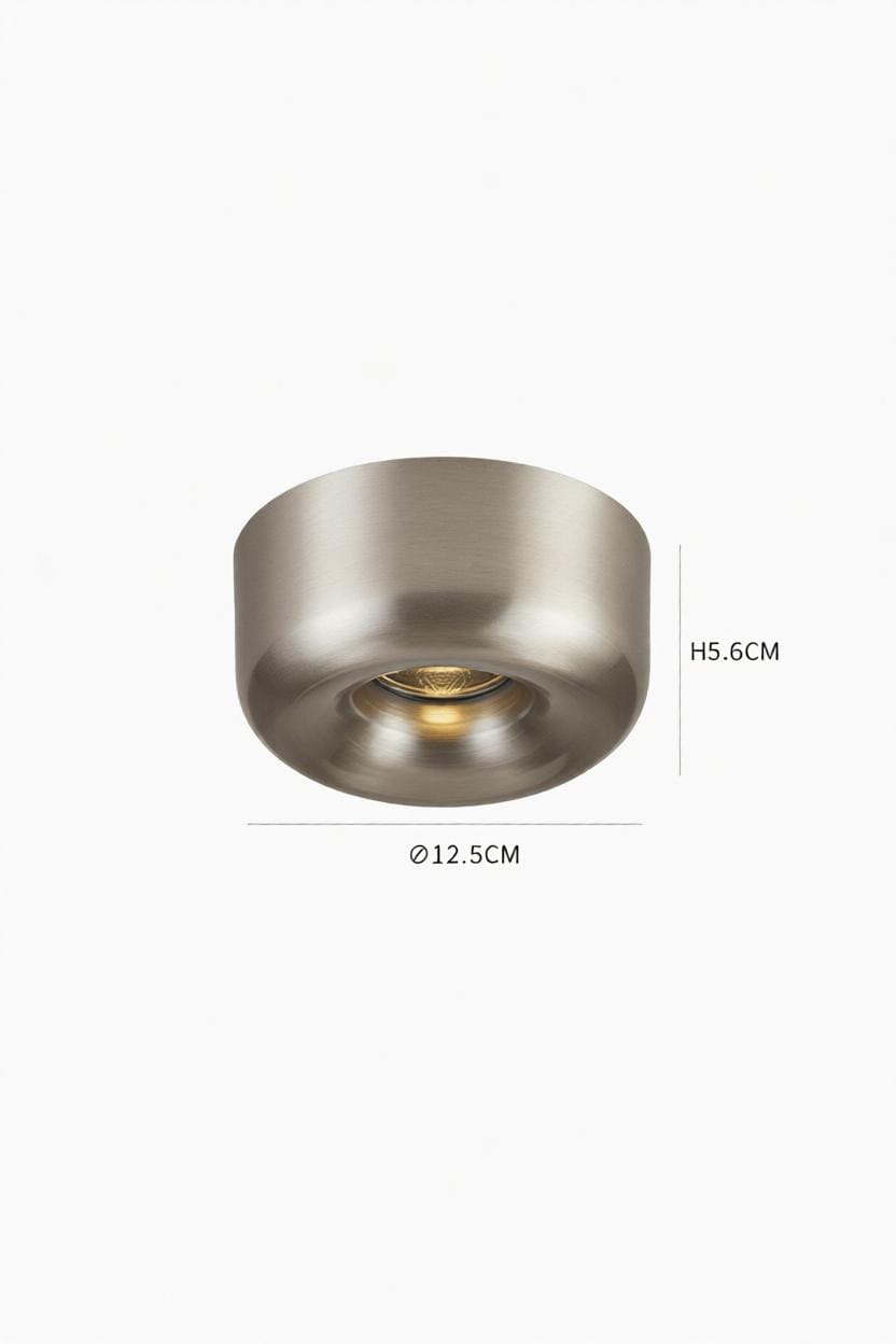 Darielth I Ceiling Mounted Light - Detail View #4 | HomeCartel