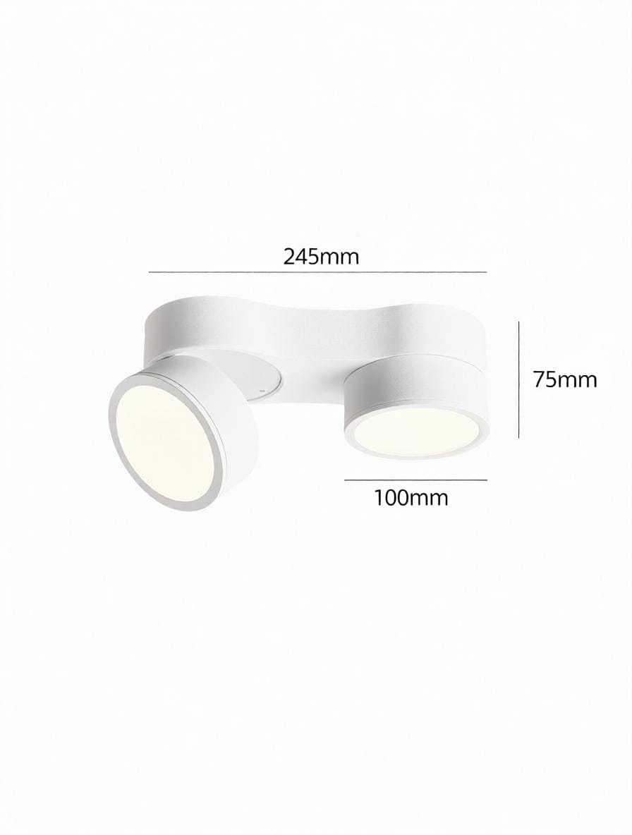 Kelryssarae | Surface Mounted Light