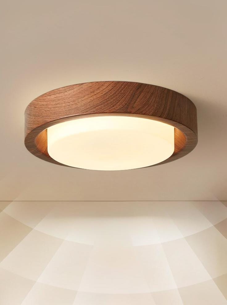 Meridwyn | Ceiling Mounted Light - Detail View #4 | HomeCartel
