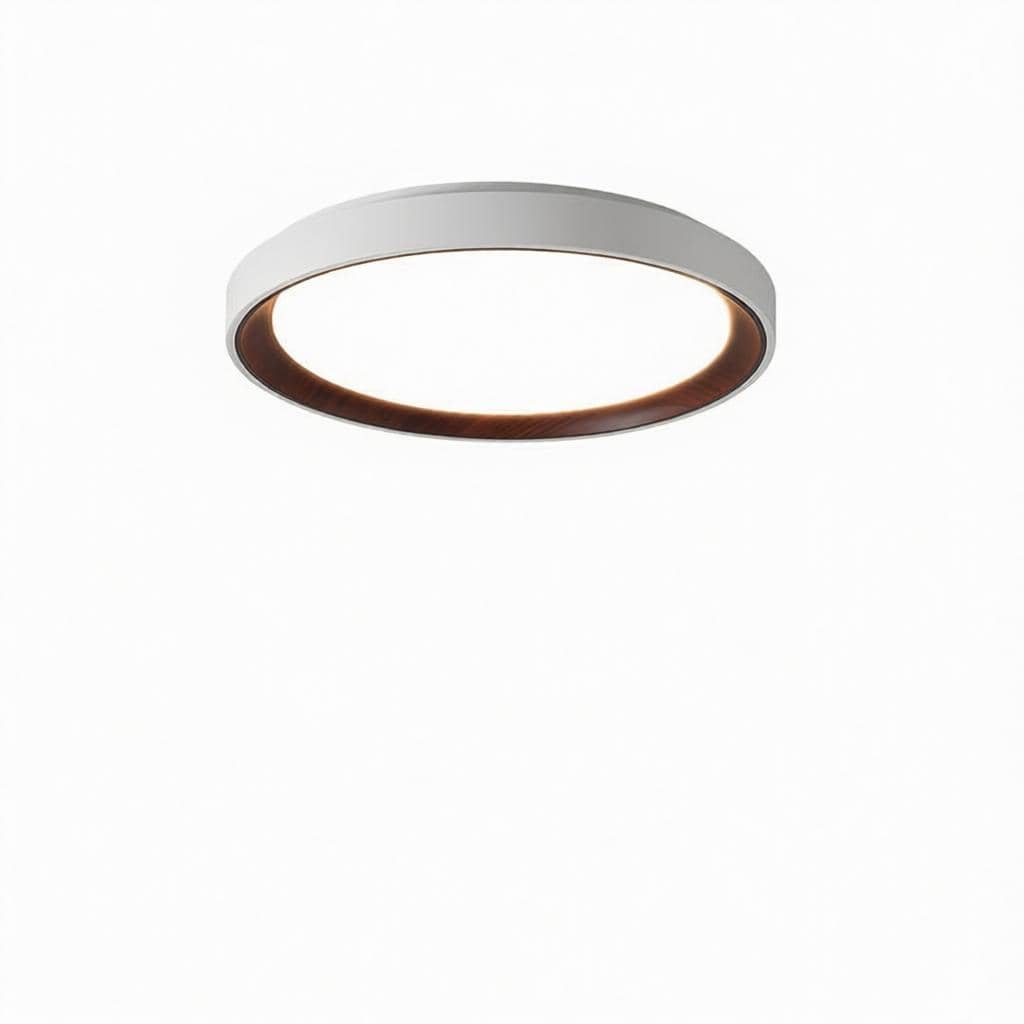 Blunden | Ceiling Mounted Light