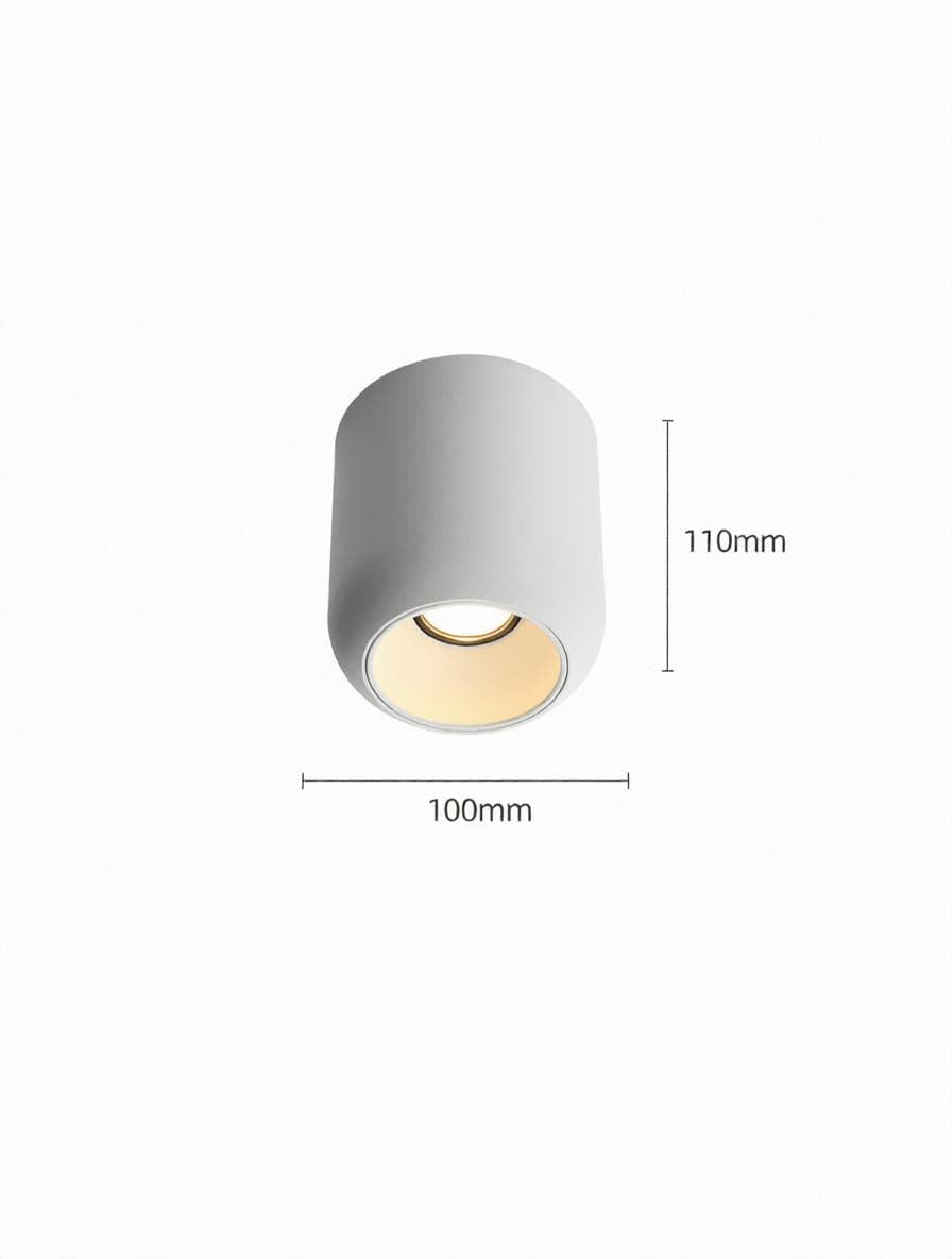 Lyrellanora | Surface Mounted Light