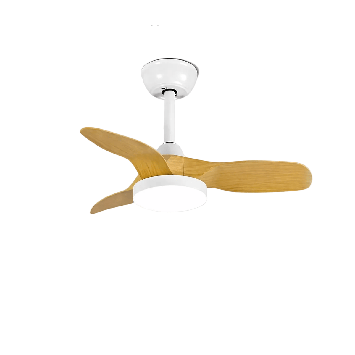 Althorin | Lighted Ceiling Fan - Detail View #3 | HomeCartel