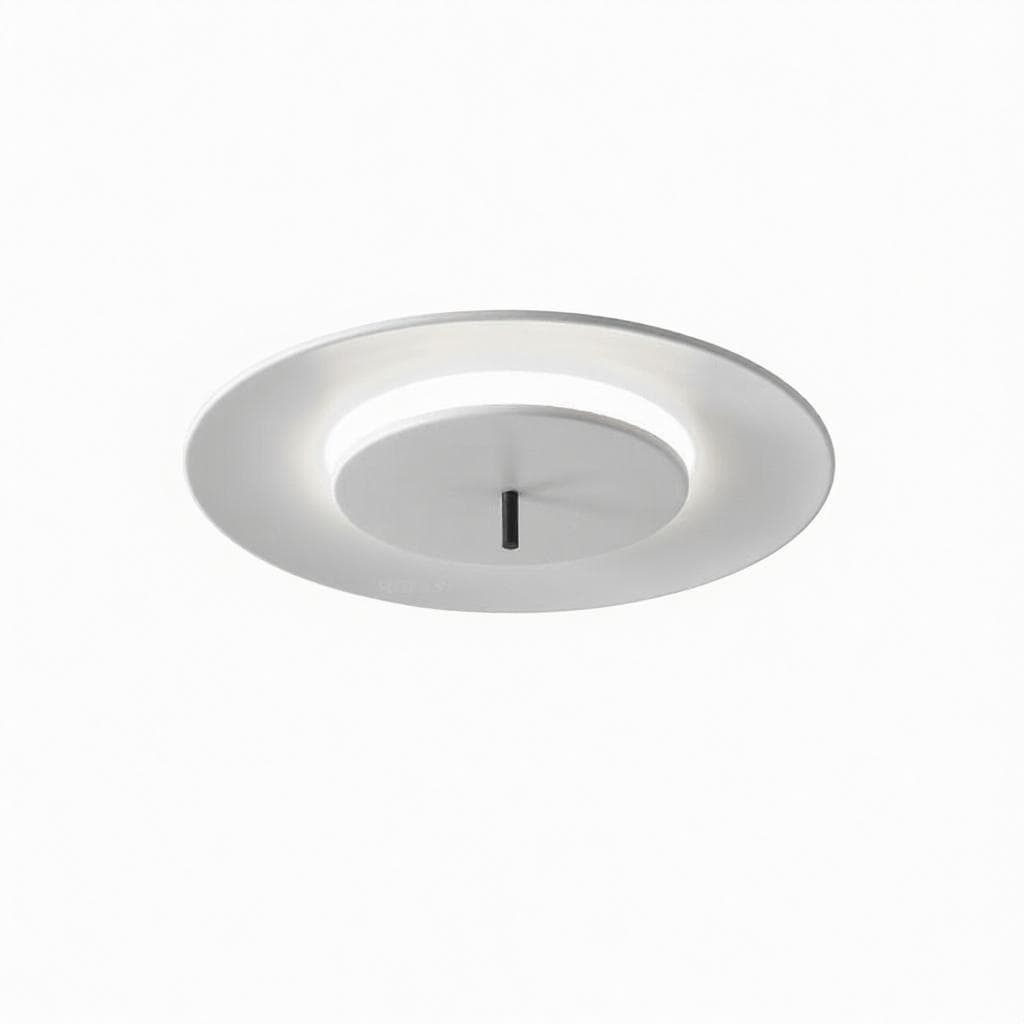 Mcgory | Ceiling Mounted Light