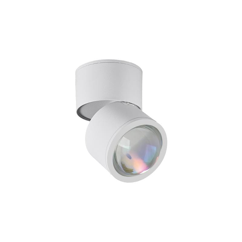 Lyrvenoria | Surface Mounted Light - Modern ARCHITECTURAL INDOOR | HomeCartel Philippines