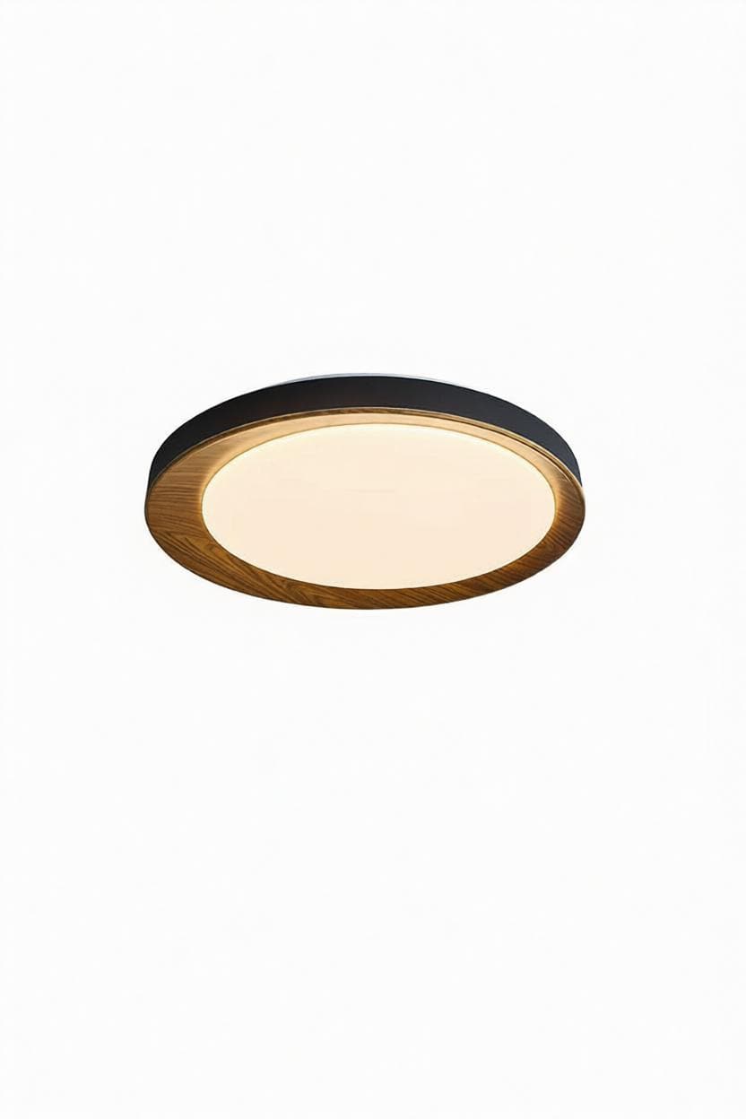 Meister | Ceiling Mounted Light - Modern Lighting Fixture | HomeCartel Philippines