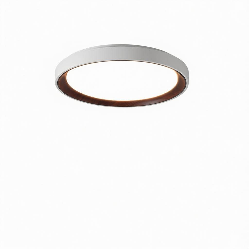 Blunden | Ceiling Mounted Light