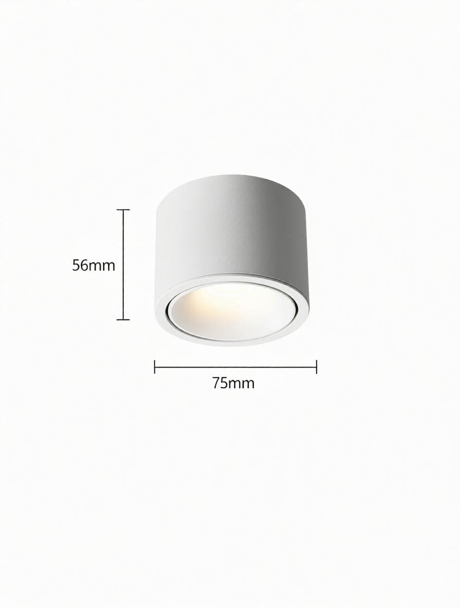 Jonvaleriae | Surface Mounted Light