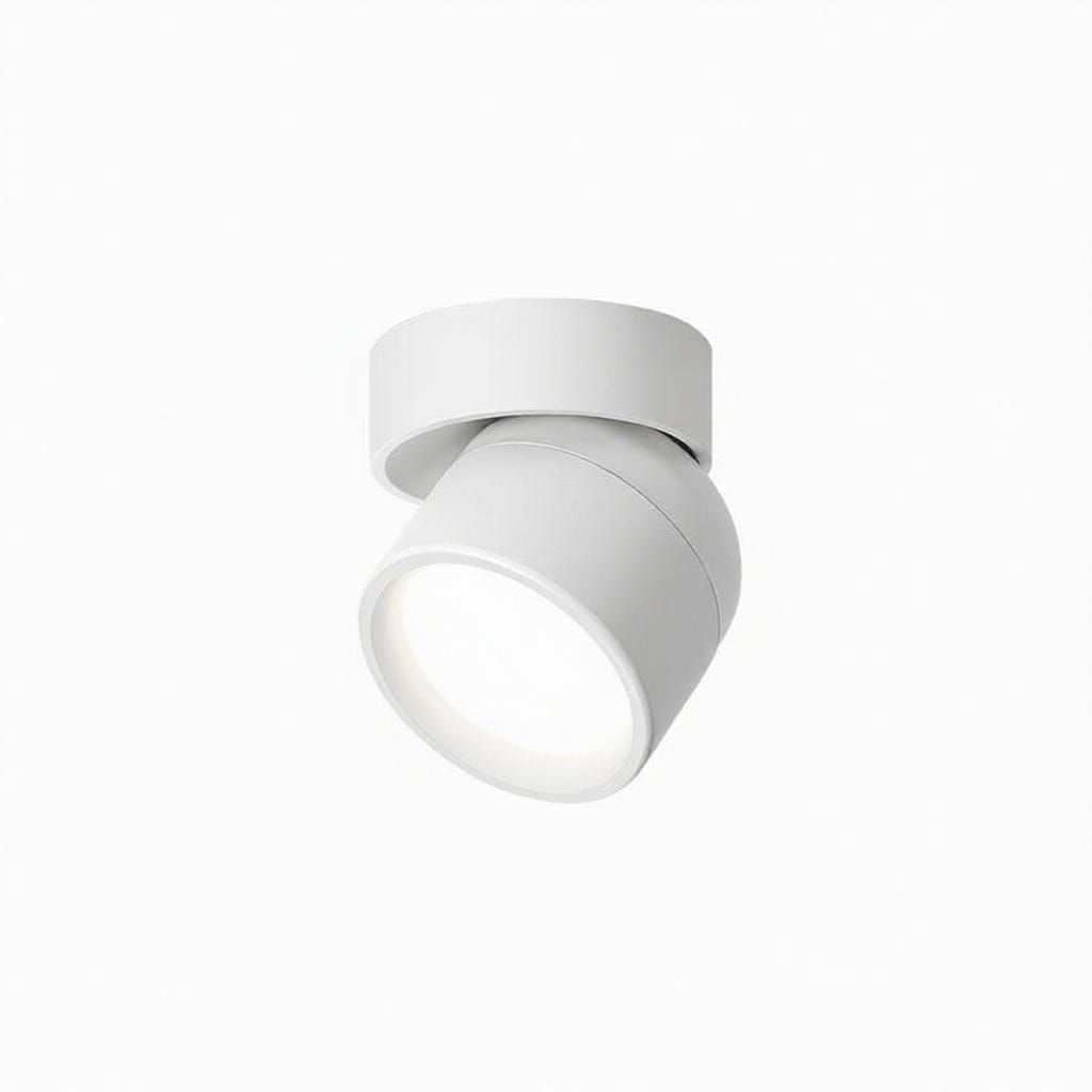 Jorvenithae | Surface Mounted Light