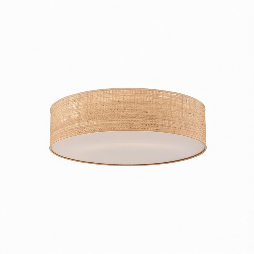 Veylissra | Ceiling Mounted Light - Modern Lighting Fixture | HomeCartel Philippines