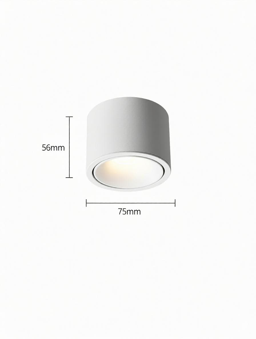 Jonvaleriae | Surface Mounted Light