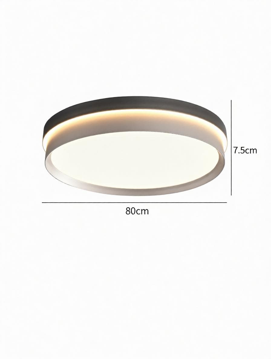 Alker Une | Ceiling Mounted Light