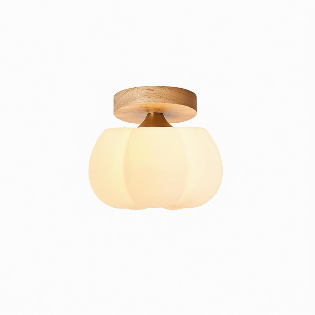 Orylwyn | Semi Flush Mounted Light - Modern Semi Flush Mounted Light | HomeCartel Philippines