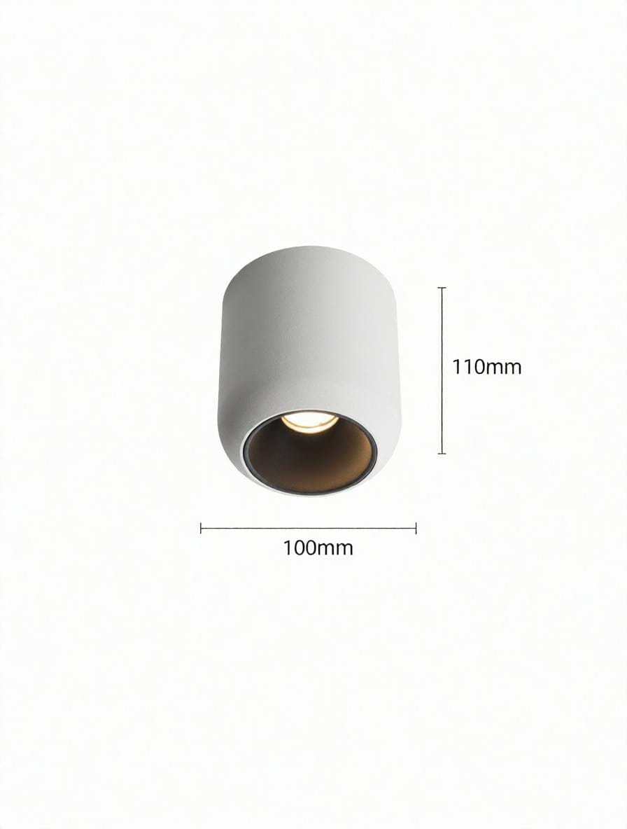 Lyrellanora | Surface Mounted Light