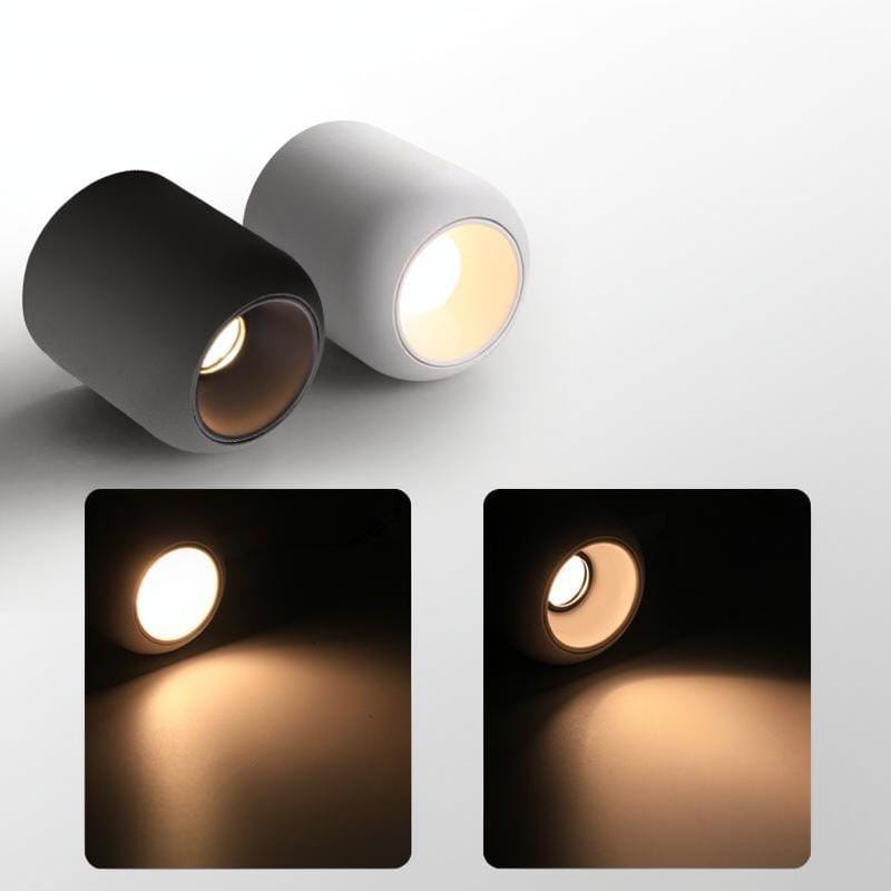 Lyrellanora | Surface Mounted Light - Detail View #3 | HomeCartel