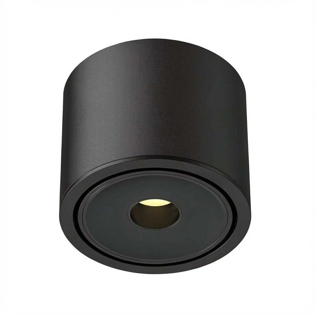 Ysolenyae Deux | Surface Mounted Light