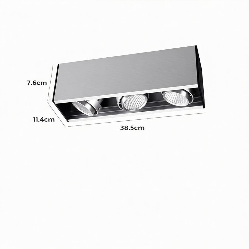Lorwynesse | Surface Mounted Light