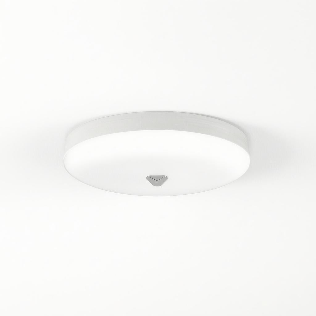 Caliento | Flush Mounted Ceiling Light