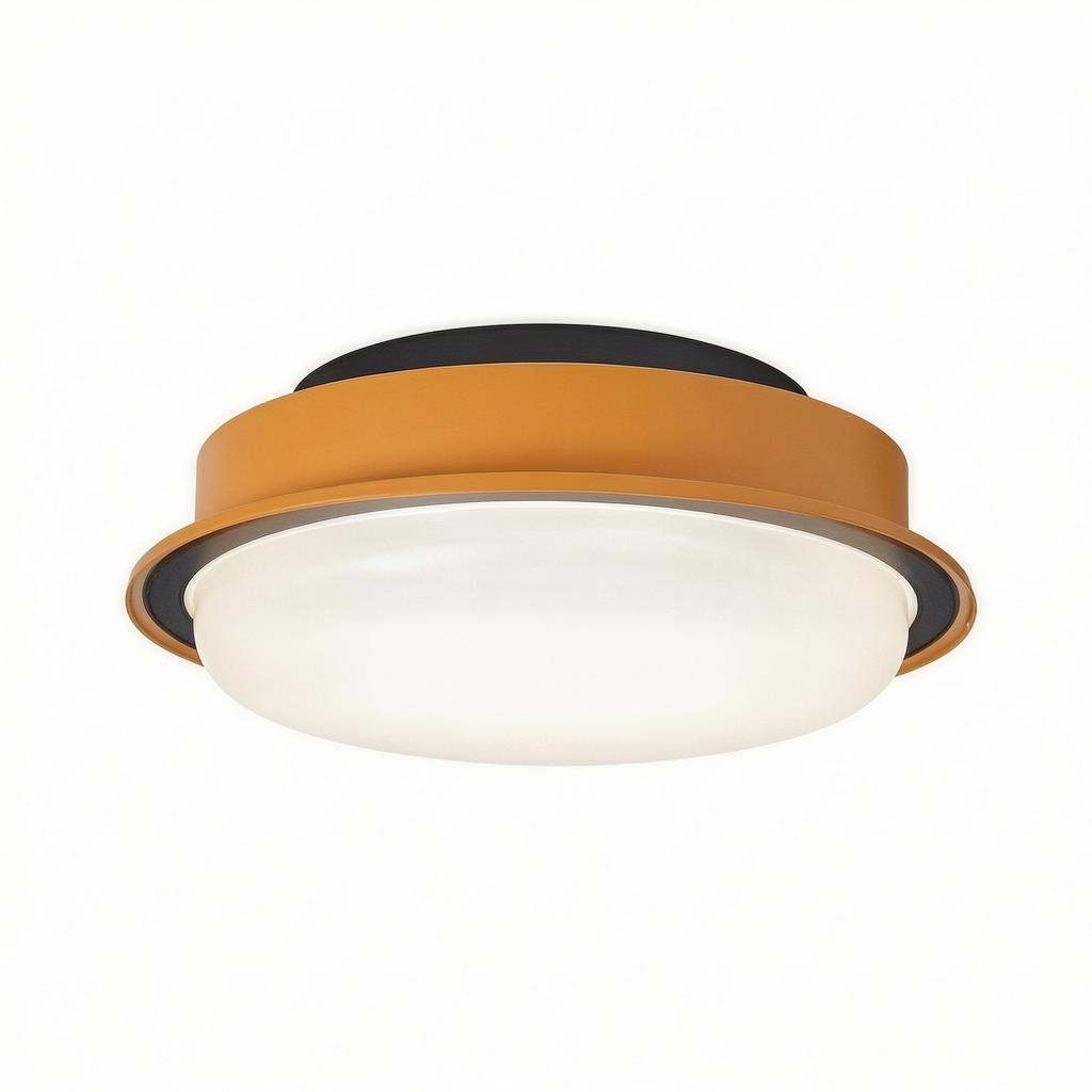 Aurivale | Flush Mounted Ceiling Light