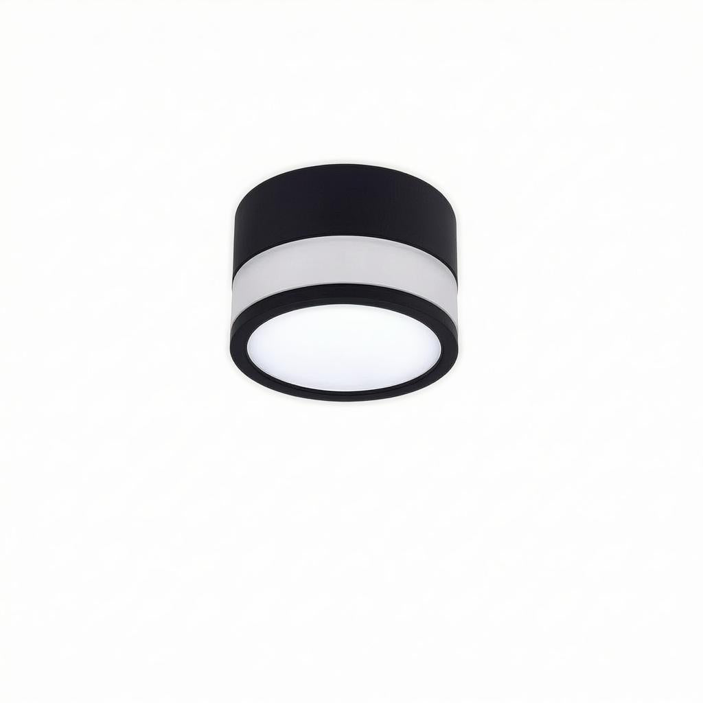 Casselton | Flush Mounted Ceiling Light