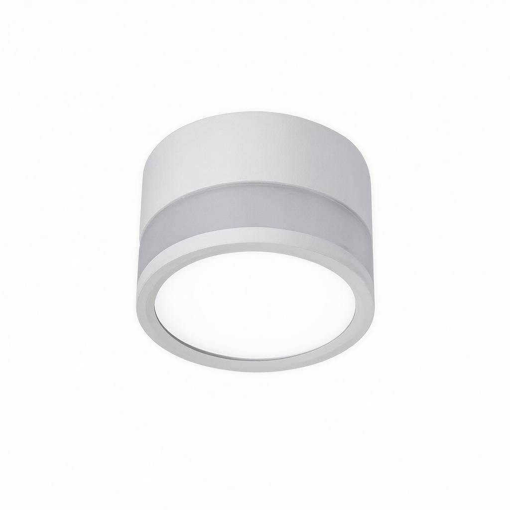 Casselton | Flush Mounted Ceiling Light