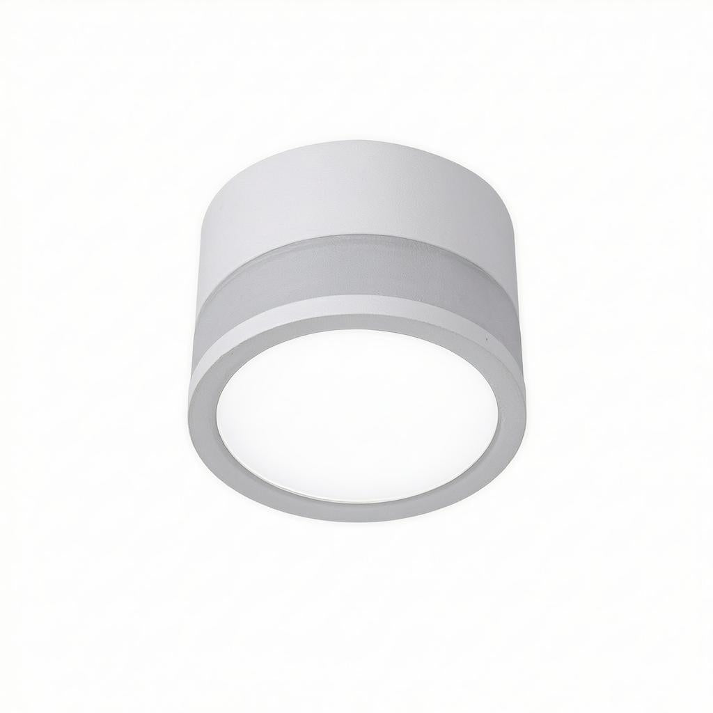 Casselton | Flush Mounted Ceiling Light
