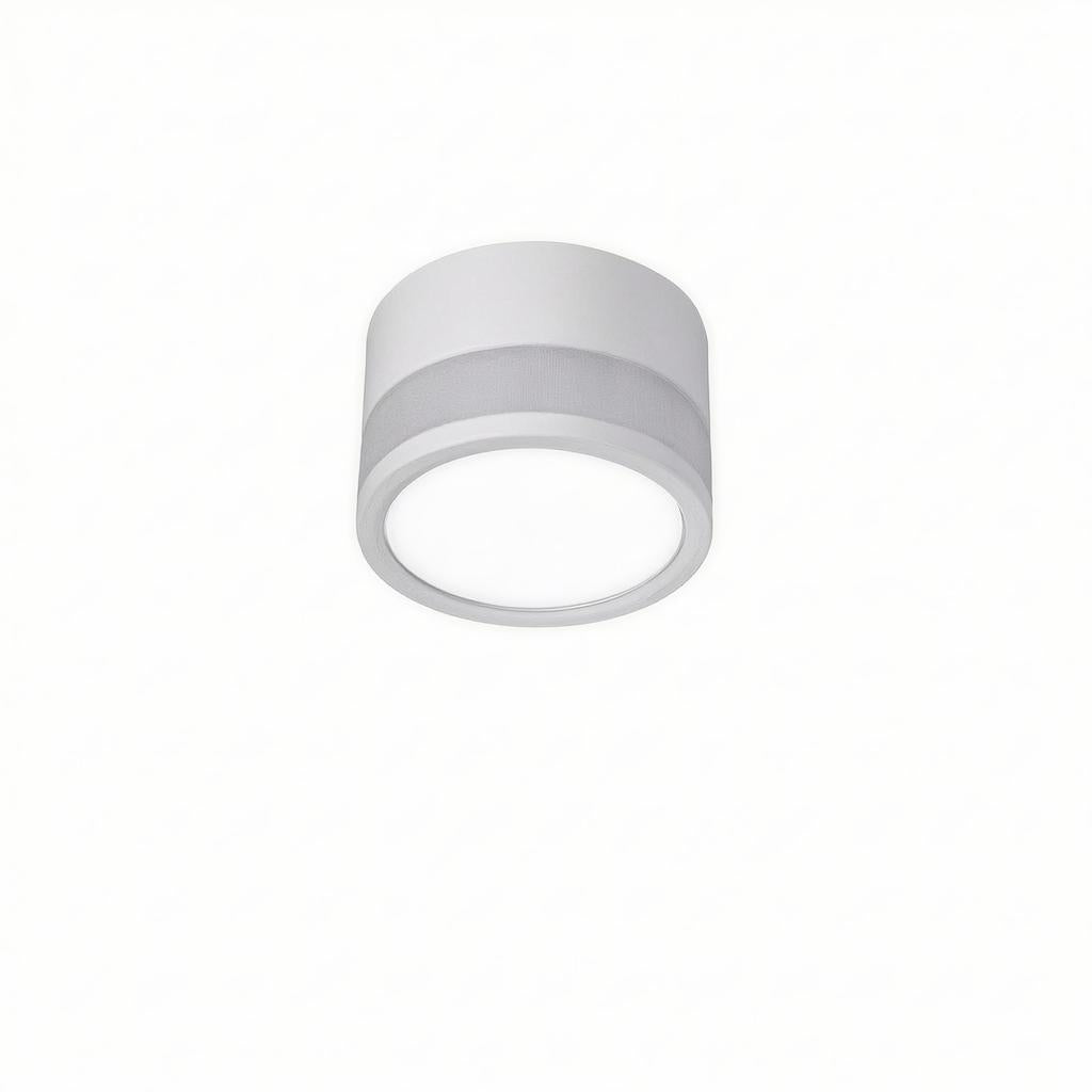 Casselton | Flush Mounted Ceiling Light
