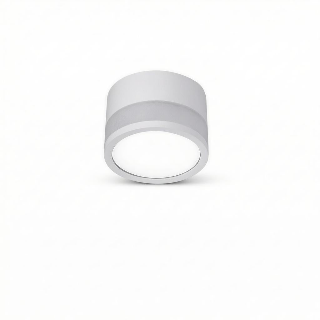 Casselton | Flush Mounted Ceiling Light