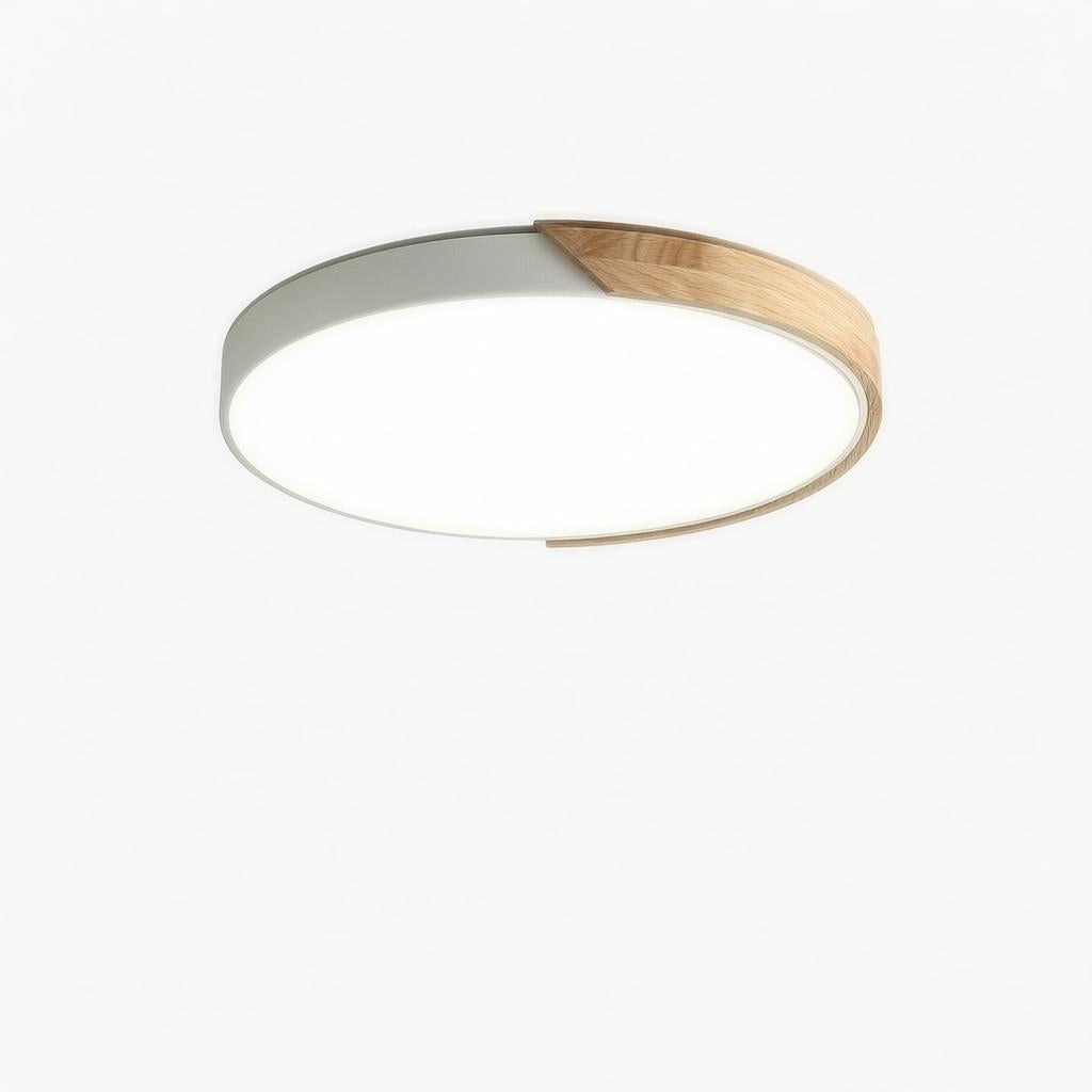 Falken | Flush Mounted Ceiling Light