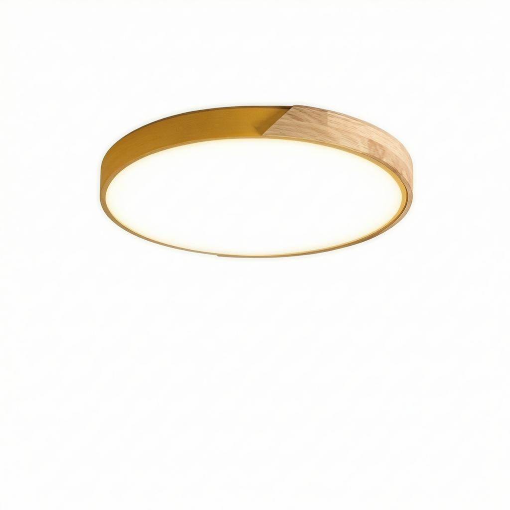 Falken | Flush Mounted Ceiling Light