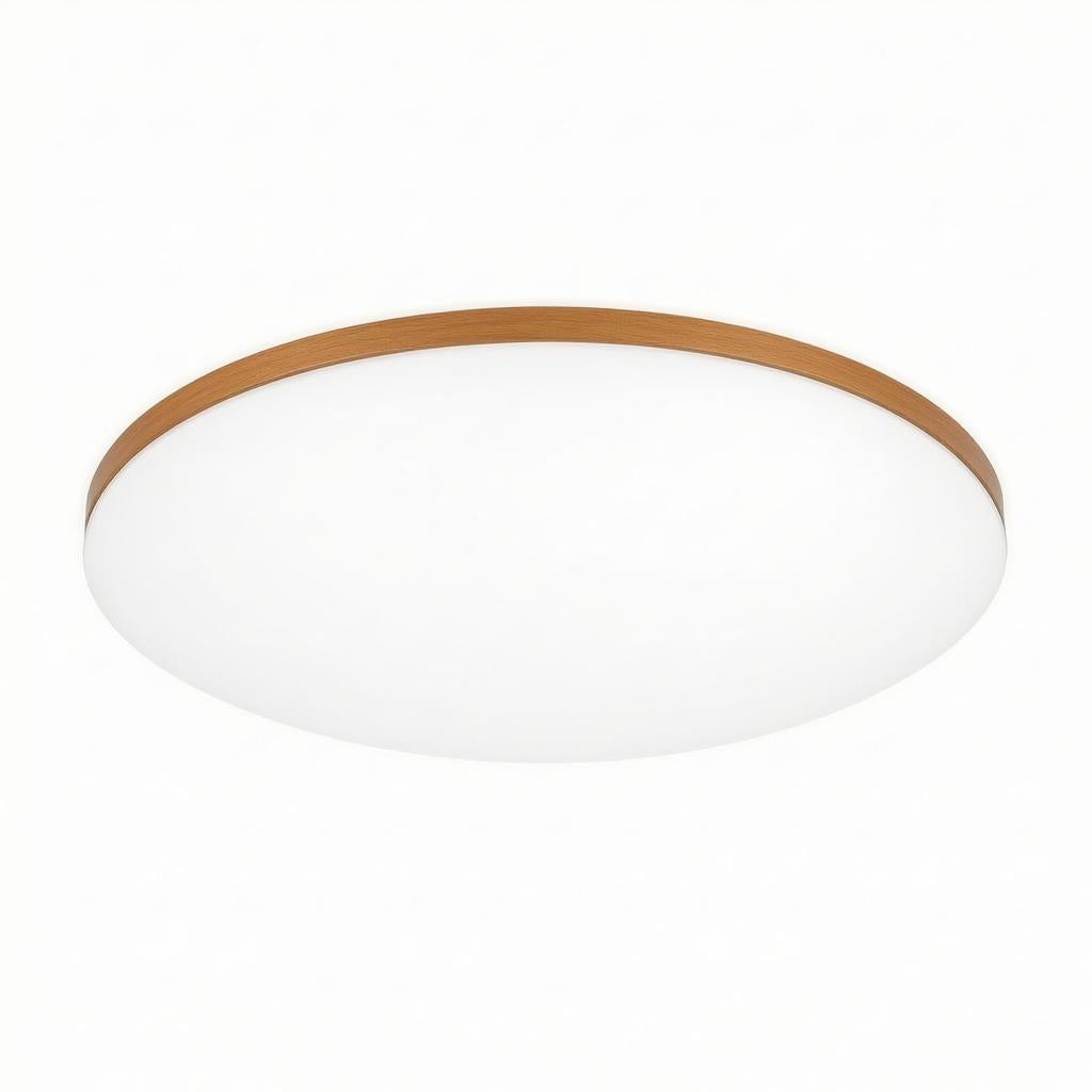 Estrellis | Flush Mounted Ceiling Light