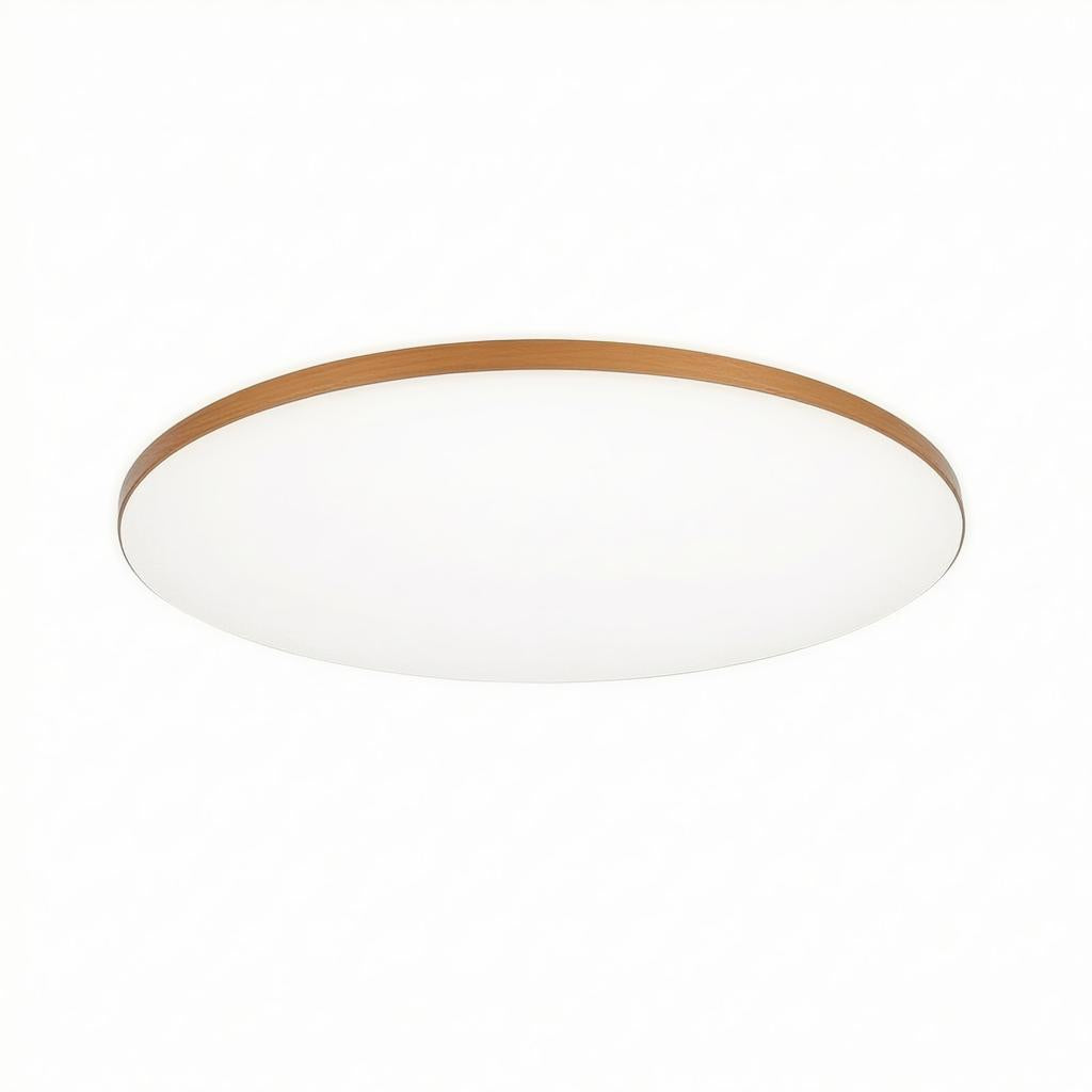 Estrellis | Flush Mounted Ceiling Light
