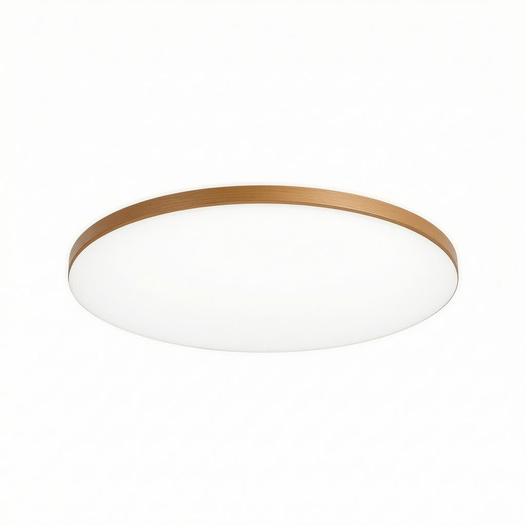 Estrellis | Flush Mounted Ceiling Light