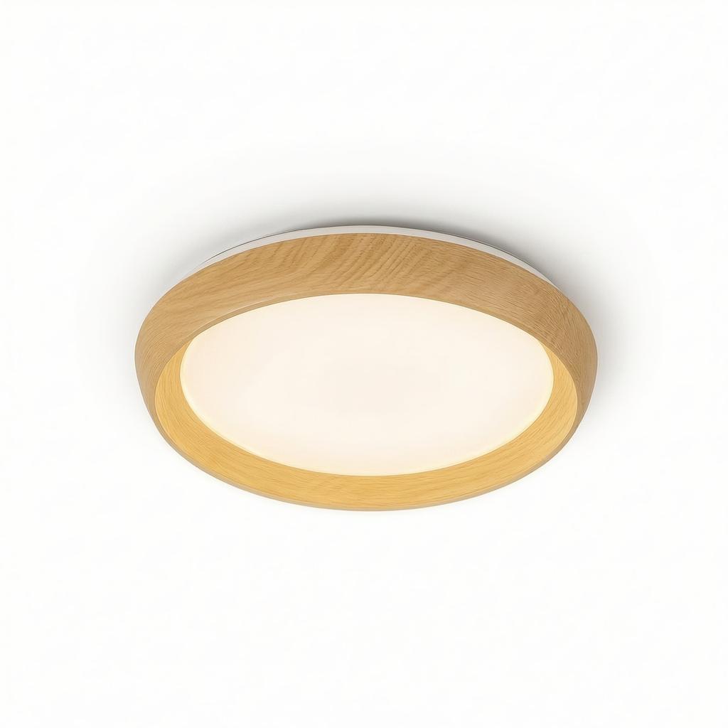 Estren | Flush Mounted Ceiling Light