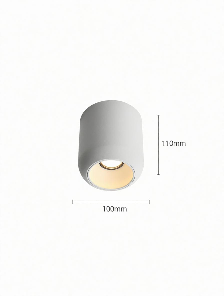 Lyrellanora | Surface Mounted Light