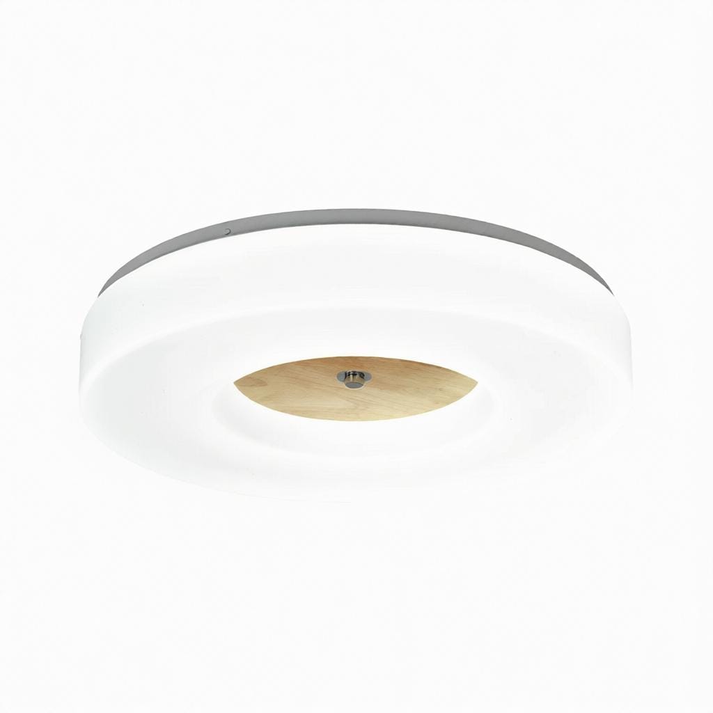 Lirianne | Ceiling Mounted Light