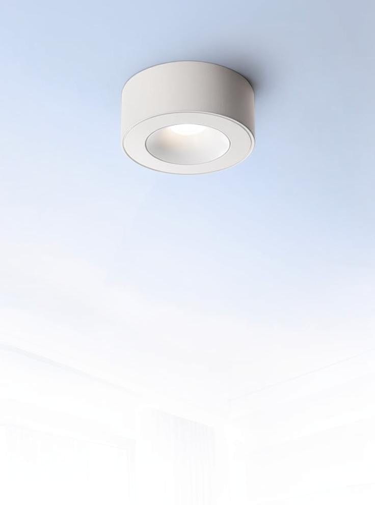 Sylarenil | Surface Mounted Light - Detail View #2 | HomeCartel