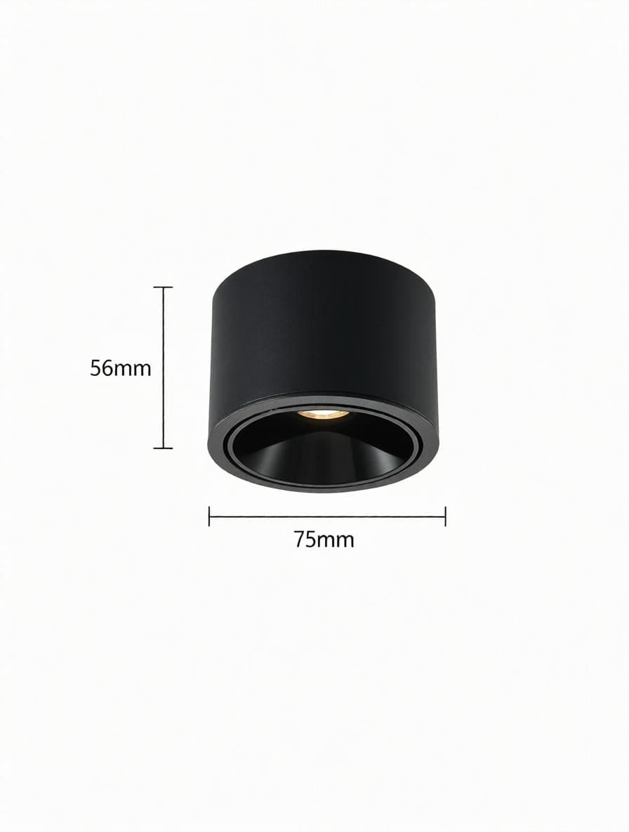 Jonvaleriae | Surface Mounted Light