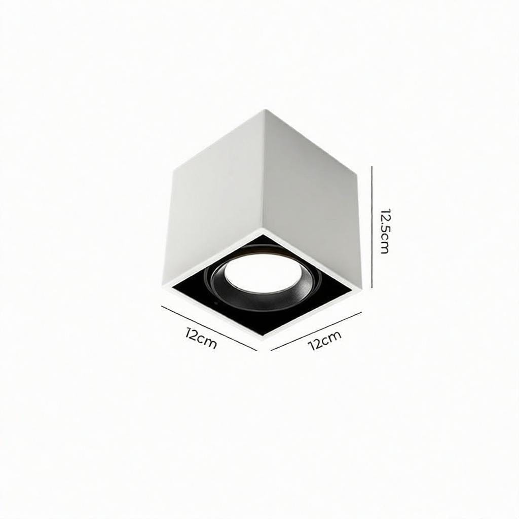Luravynor Deux | Surface Mounted Light