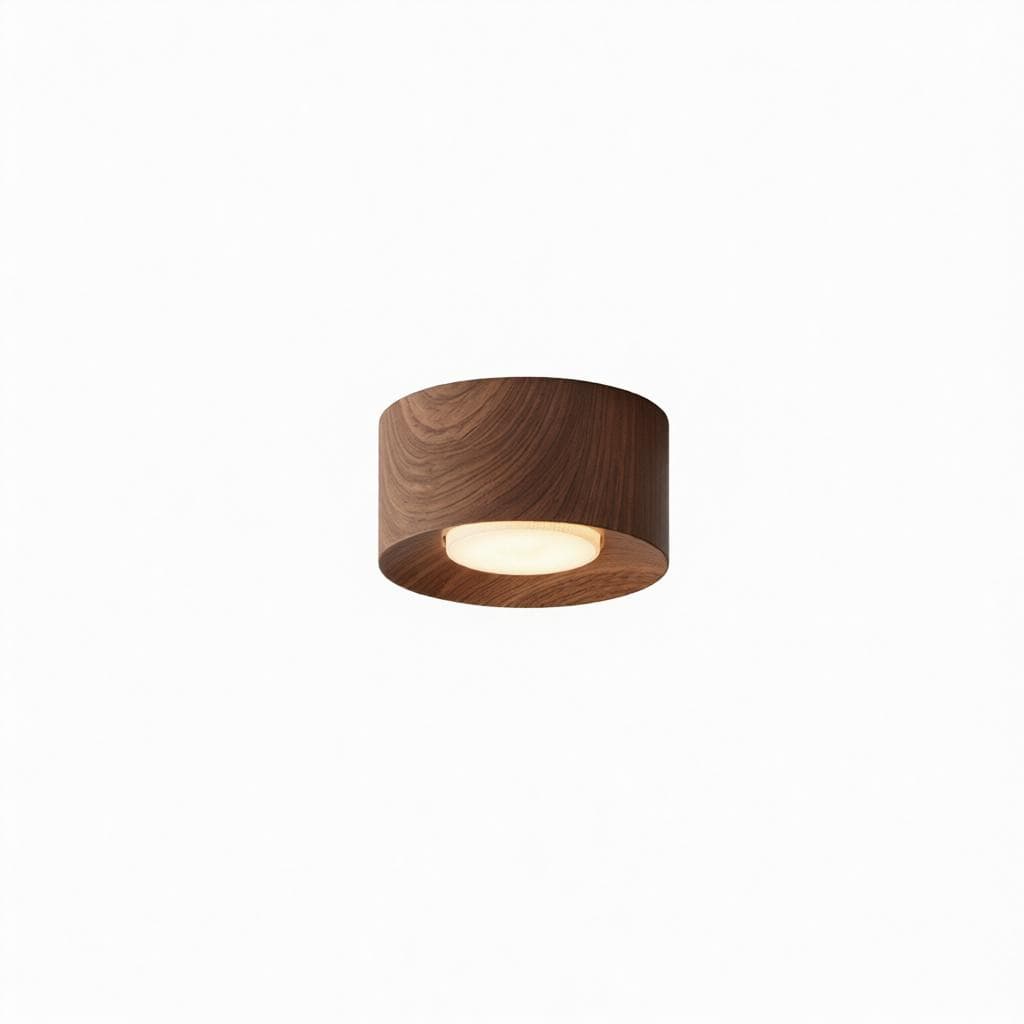 Dardenne 1 | Ceiling Mounted Light - Modern Lighting Fixture | HomeCartel Philippines