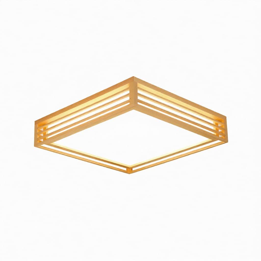 Iselwyn | Ceiling Mounted Light