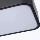 Darshan | Chandelier