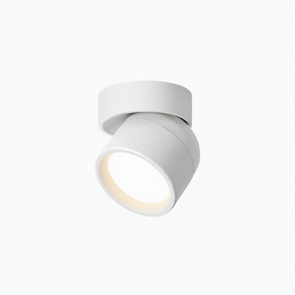 Jorvenithae | Surface Mounted Light