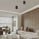 Ladale | Surface Mounted Downlight