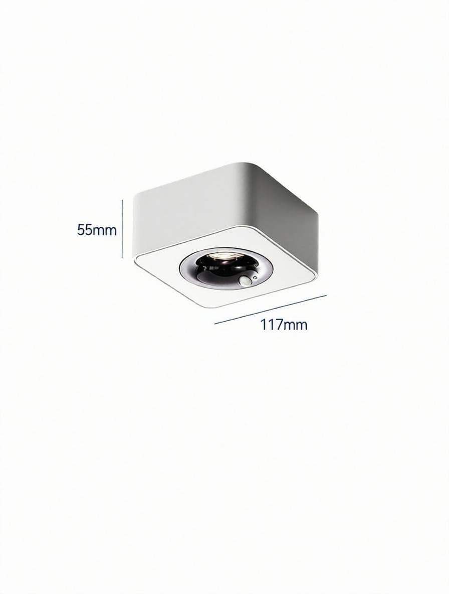 Torvalynor | Surface Mounted Light