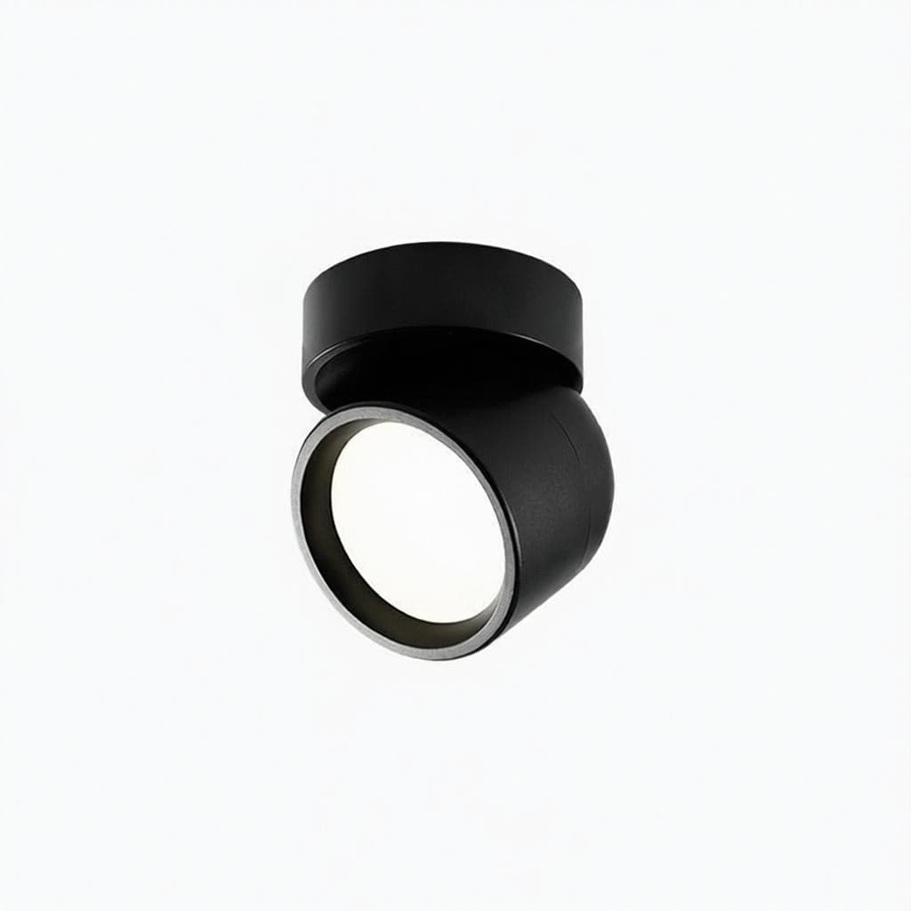 Jorvenithae | Surface Mounted Light