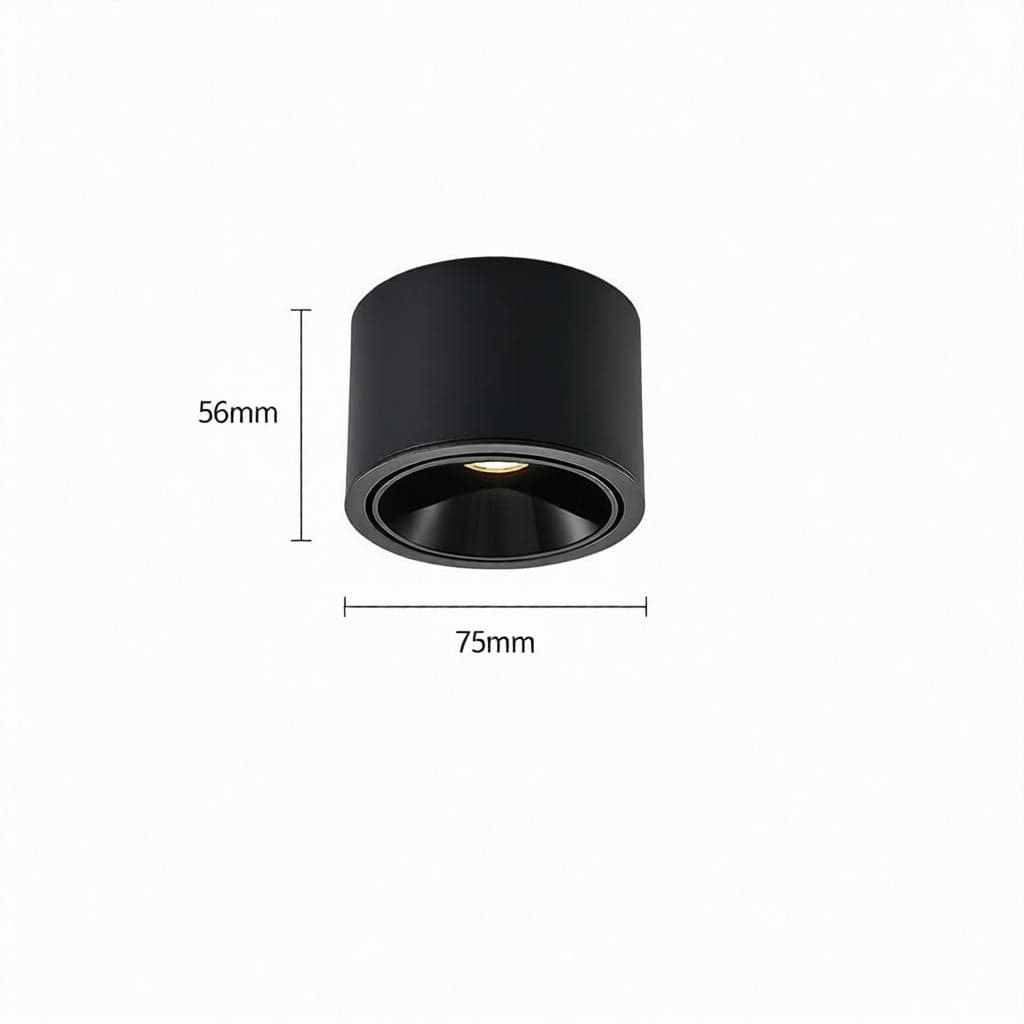 Jonvaleriae | Surface Mounted Light