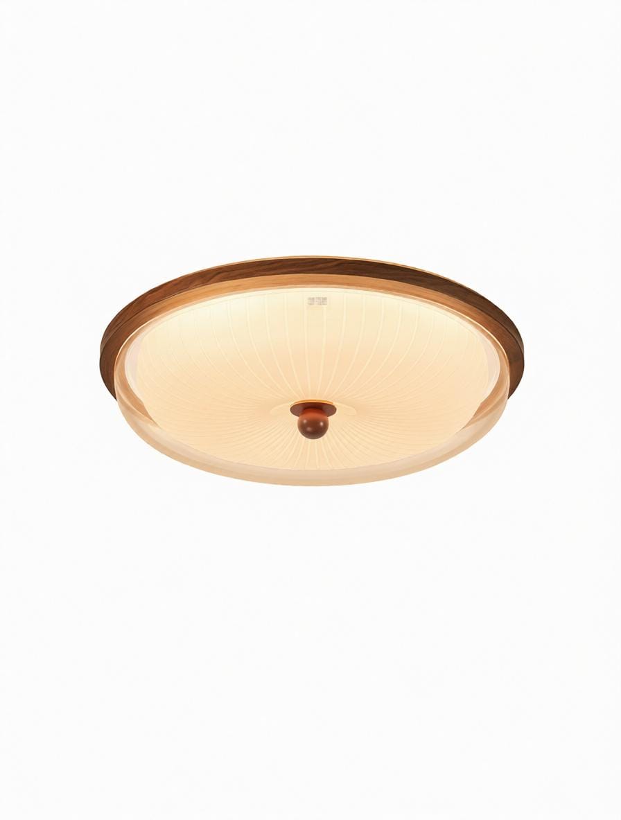Daelina B | Ceiling Mounted Light - Modern Lighting Fixture | HomeCartel Philippines