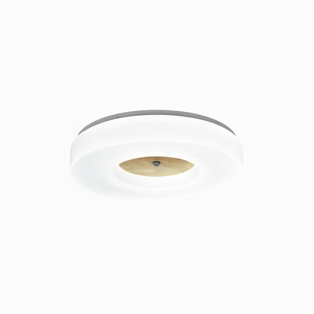 Lirianne | Ceiling Mounted Light - Detail View #10 | HomeCartel
