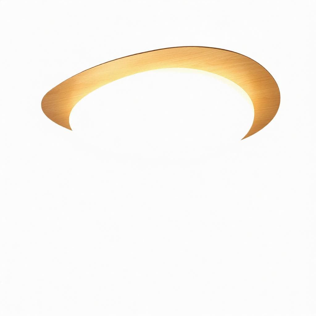 Trelisun | Ceiling Mounted Light