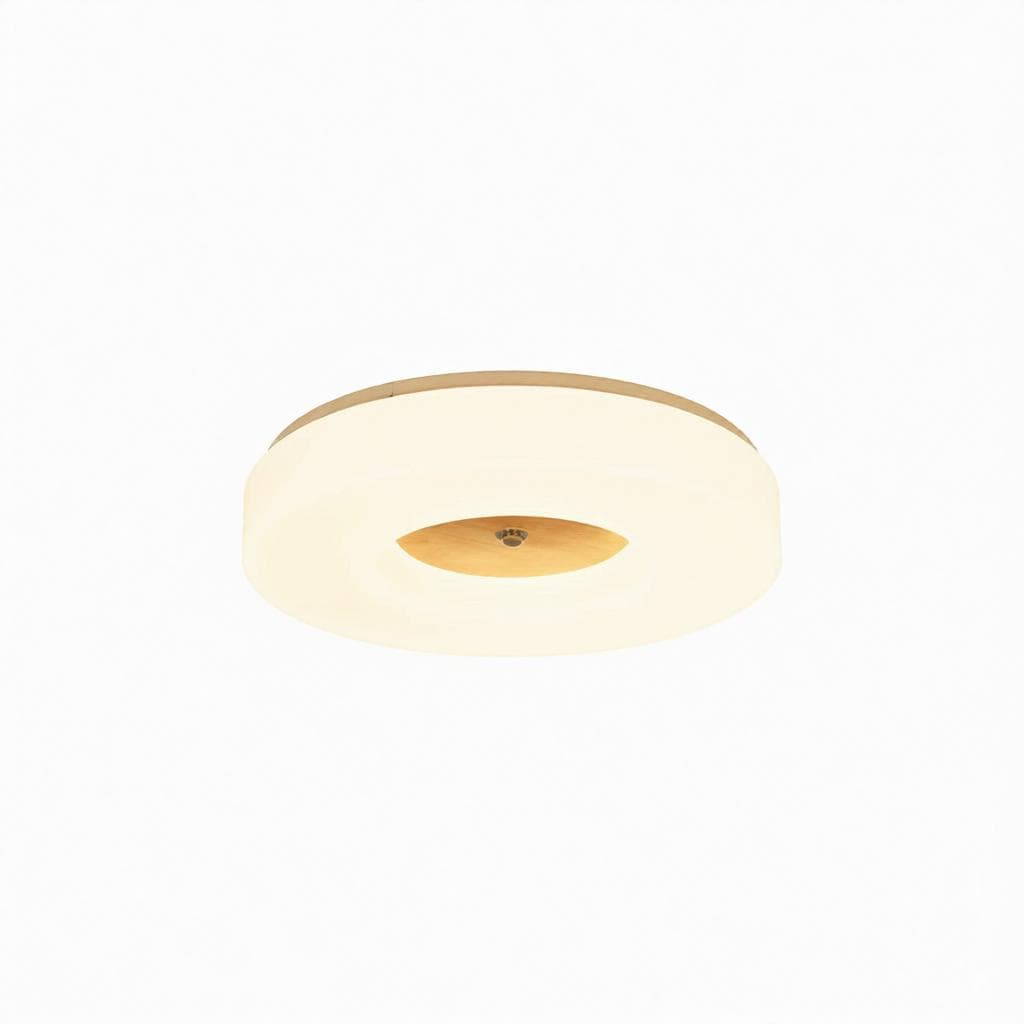 Lirianne | Ceiling Mounted Light - Detail View #5 | HomeCartel